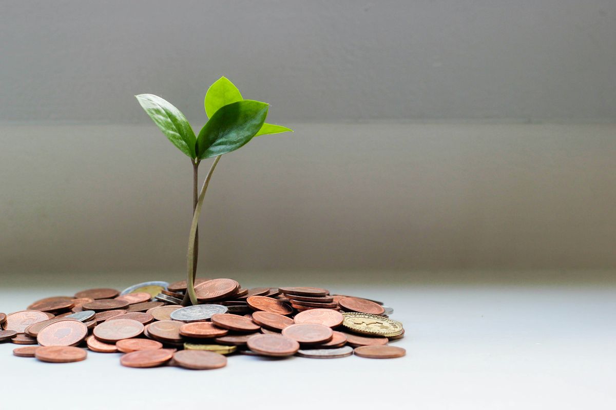 Growing savings after building financial literacy