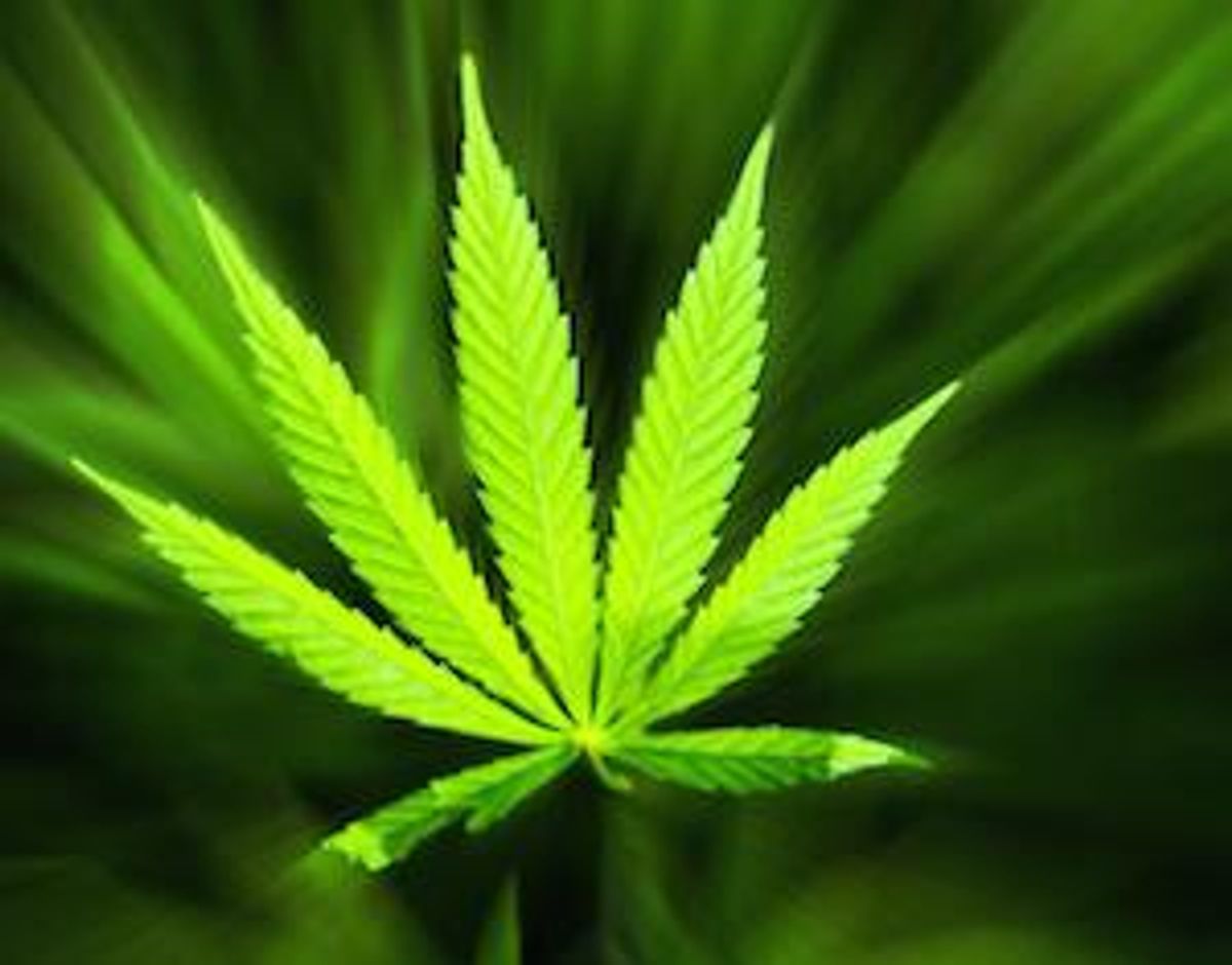 3 Signs the Marijuana Industry Is Booming