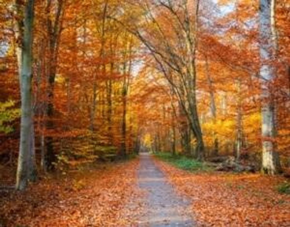 Three Key Signposts Along the Entrepreneur's Path